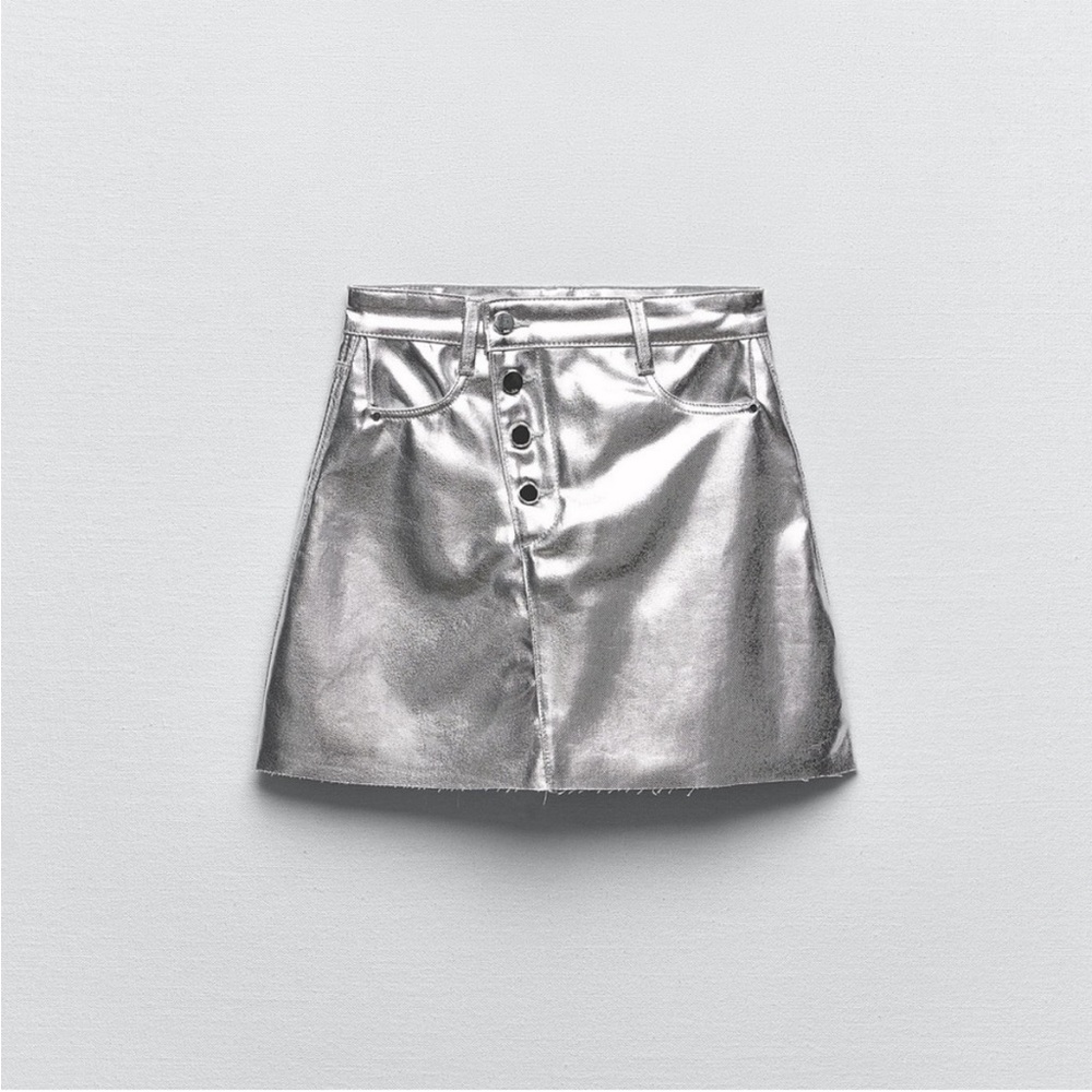 Zara silver skirt
